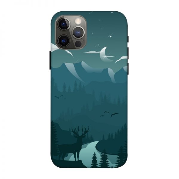 Night Landscape iPhone 12 Pro Mobile Cover