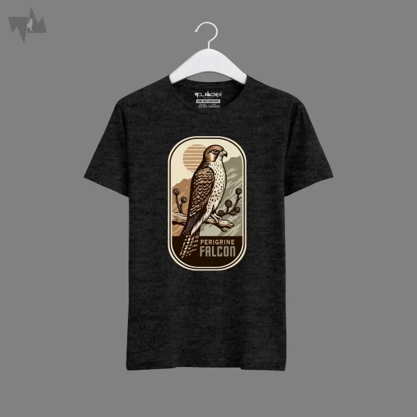 Peregrine Falcon - Image 13