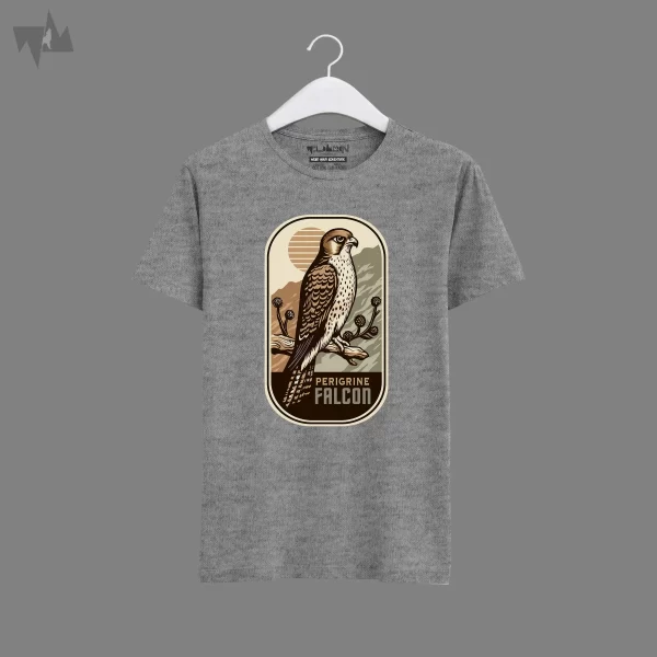 Peregrine Falcon - Image 12
