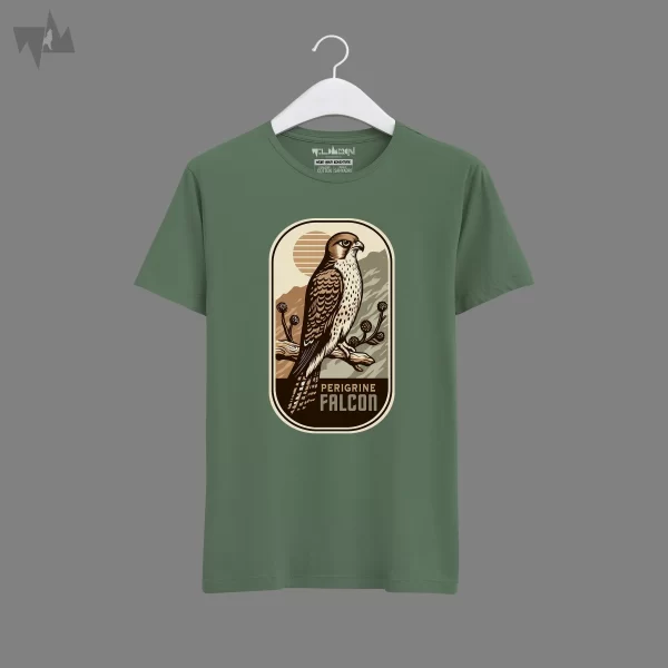 Peregrine Falcon - Image 6